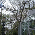 washington-nyc-2-123_575657650_o.jpg